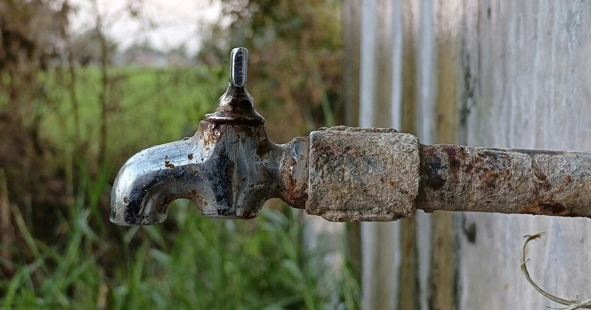 Фото: Ajaysinh Chauhan / Unsplash