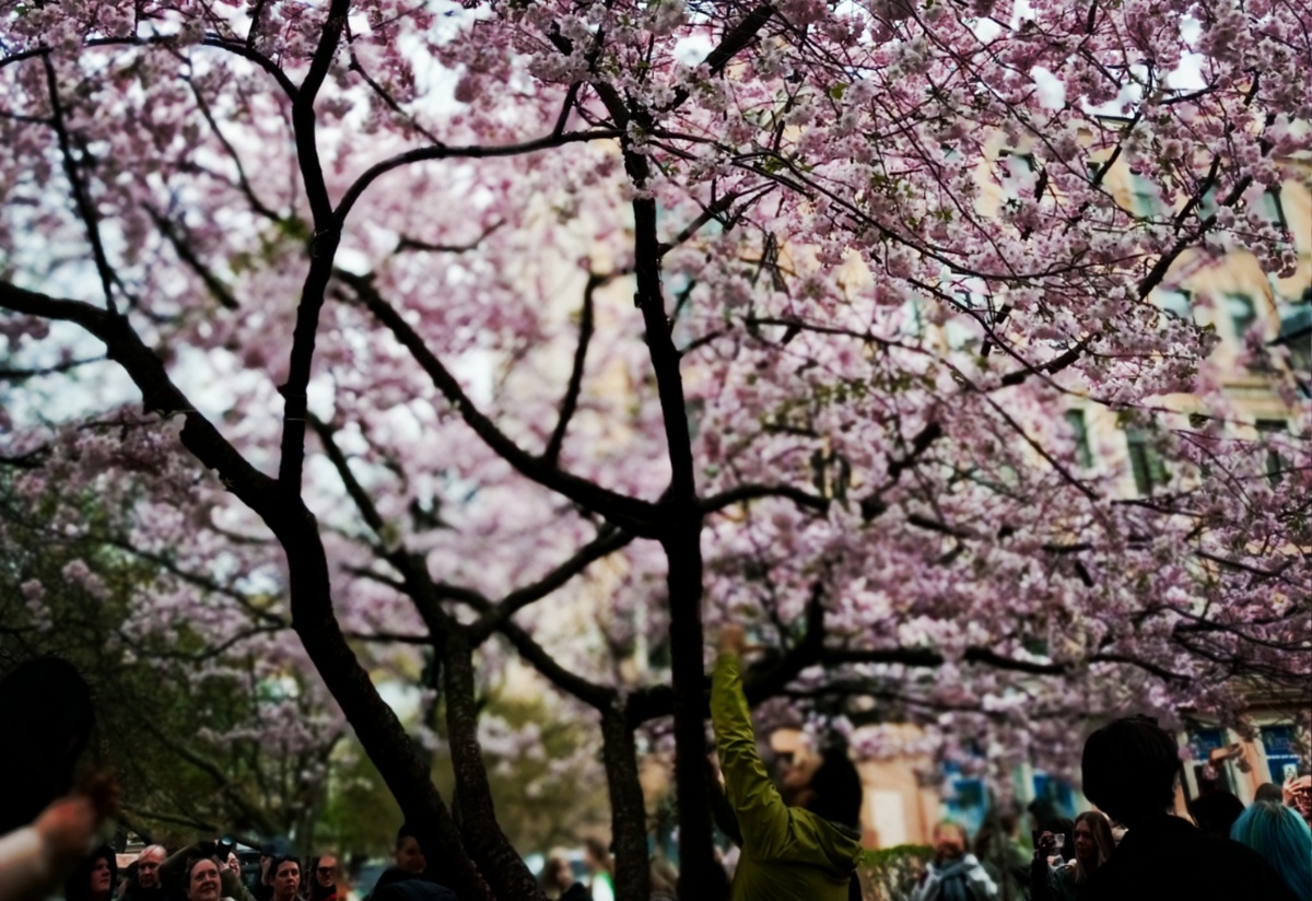 Каждый хочет подойти ближе