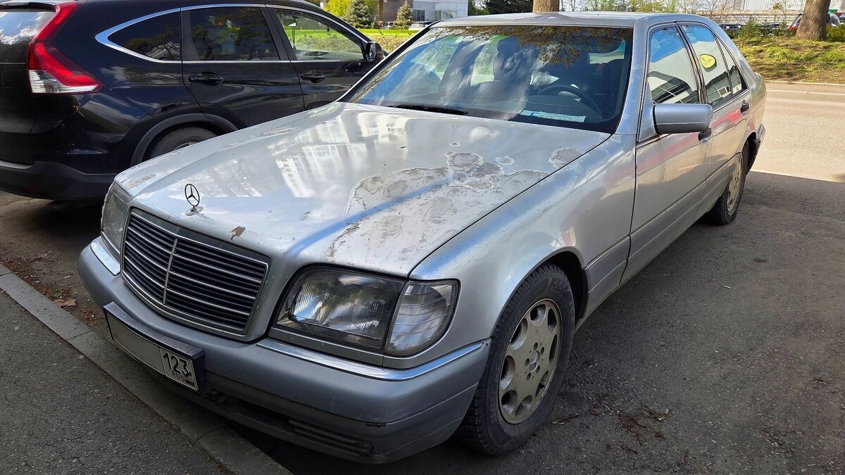     Автор: KubanPress