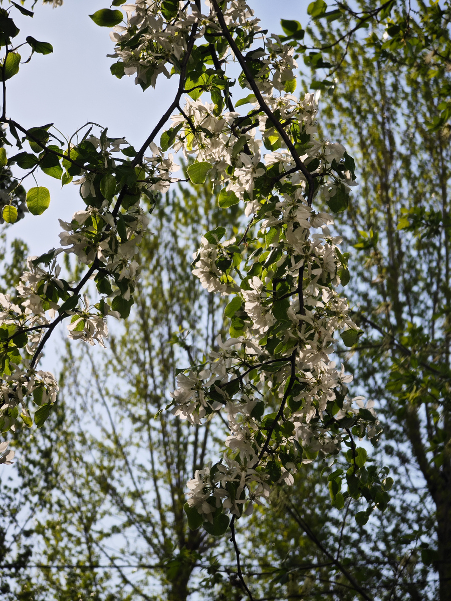 Фото автора канала 