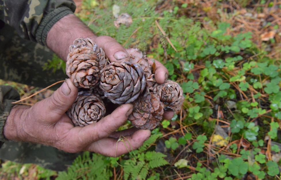 для атмосферы