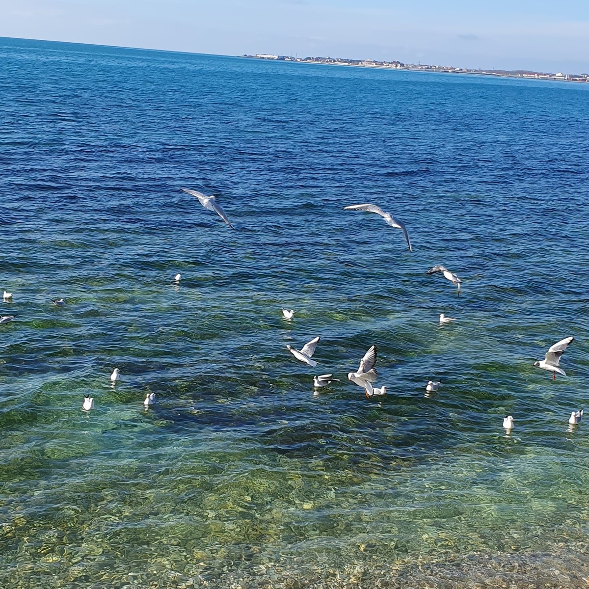 Смысл жизни - понятие глобальное, а цели жизни в каждый момент конкретны 