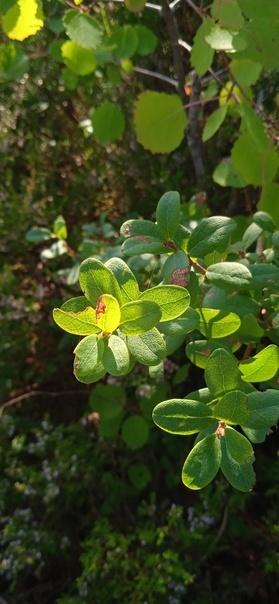 Все фото авторские