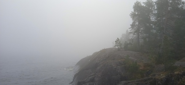 Все фото авторские 