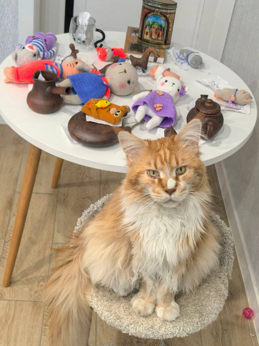 Мэй тоже любит чаепития. Фото из архива автора