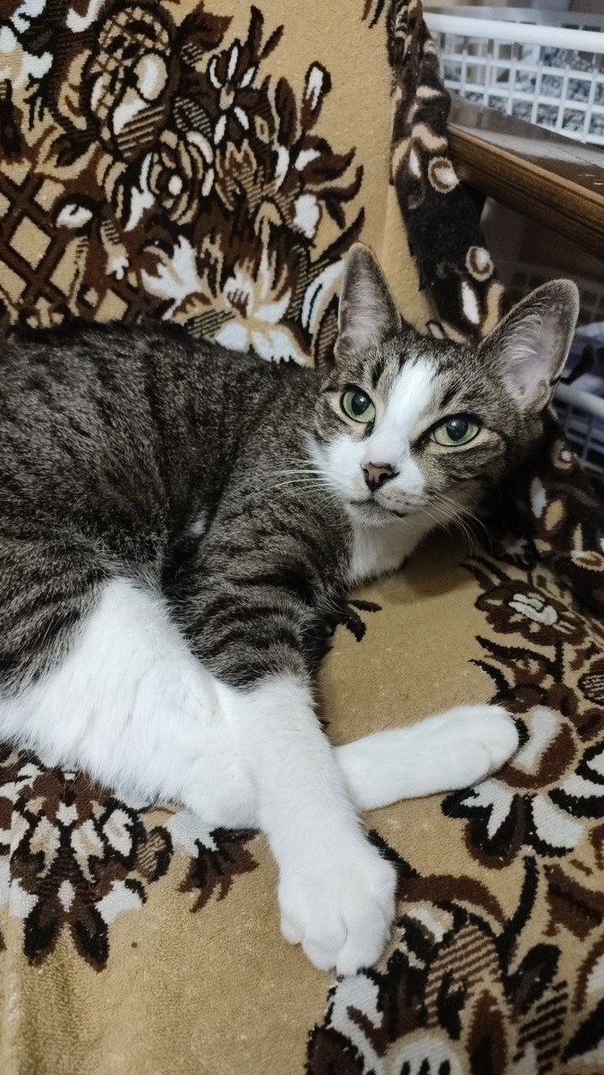 Машенька, наша бывшая подопечная