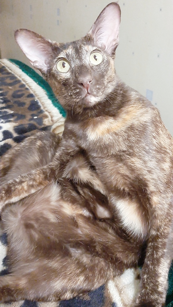 Ты, мамуля, конечно дурочка мне досталась, но я все равно тебя люблю. 