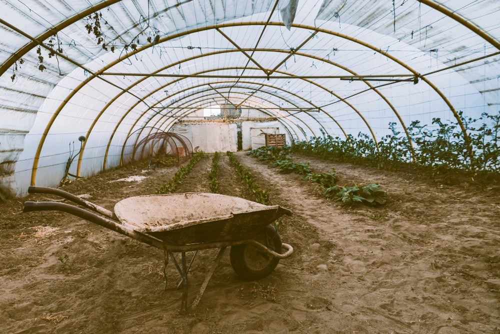 фото freepik.com