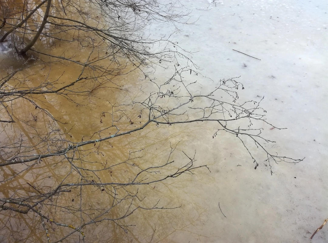 Фото для превью А.Семёнова