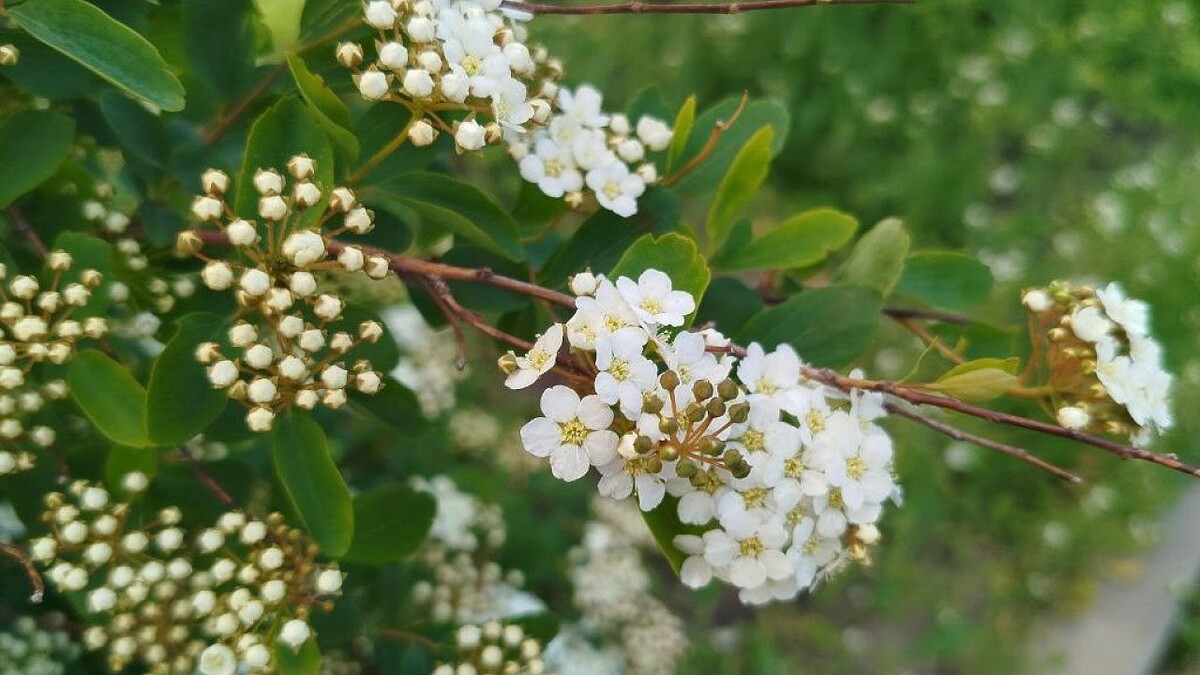    Фото: телеканал «Краснодар»