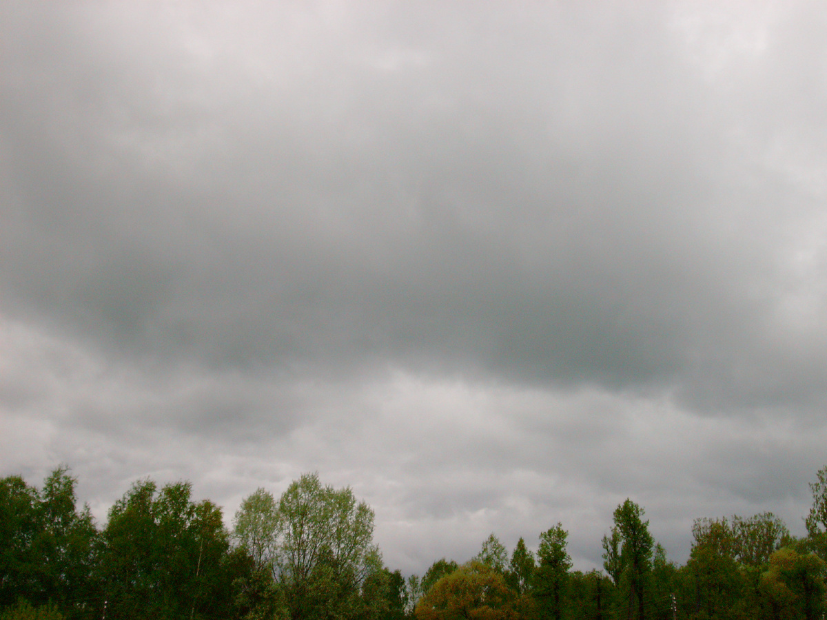 Поездка в Мелихово, Московская область, мое фото