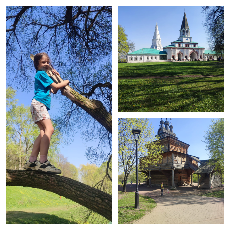 Листики только начинают распускаться