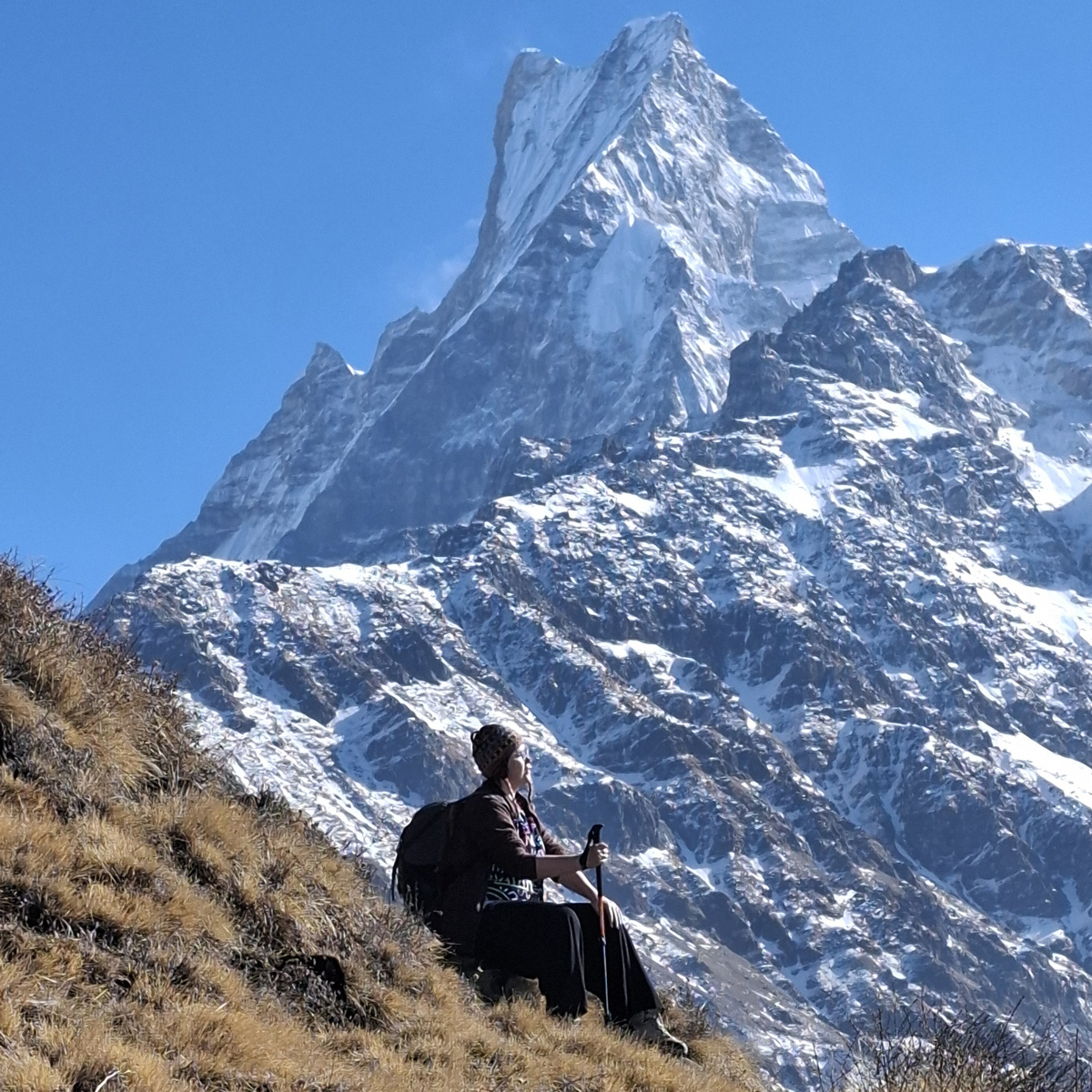 Фото на тот случай, если вы забыли, как выглядит Дом Шивы - священная гора Мачапучаре (6998 м), куда мы шли три дня - от рассвета до заката, по тропе категории «лайт». Фото автора.
