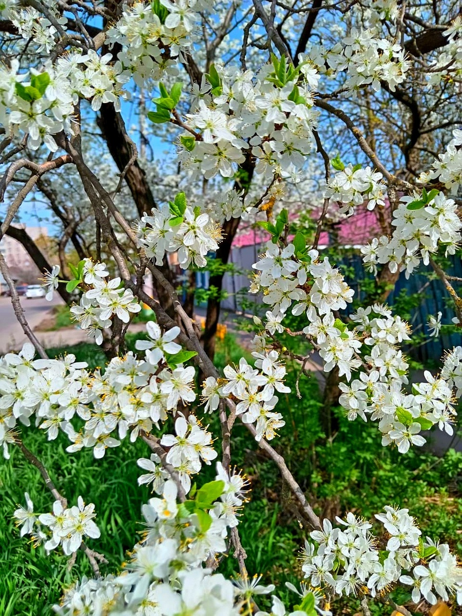 Фото автора. 