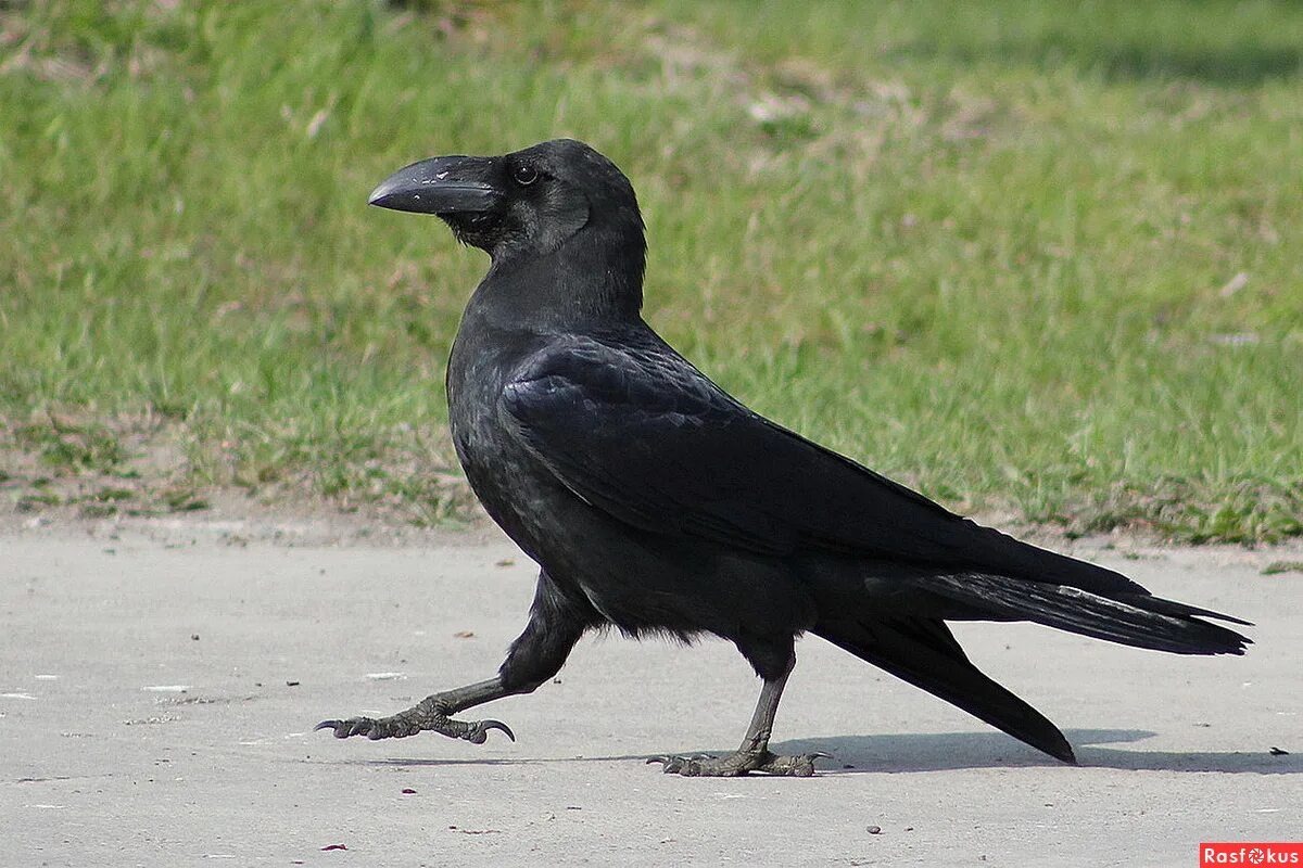 #похудениебездиет #мужскоездоровье #жизньпосле45 #деревенскийфитнес