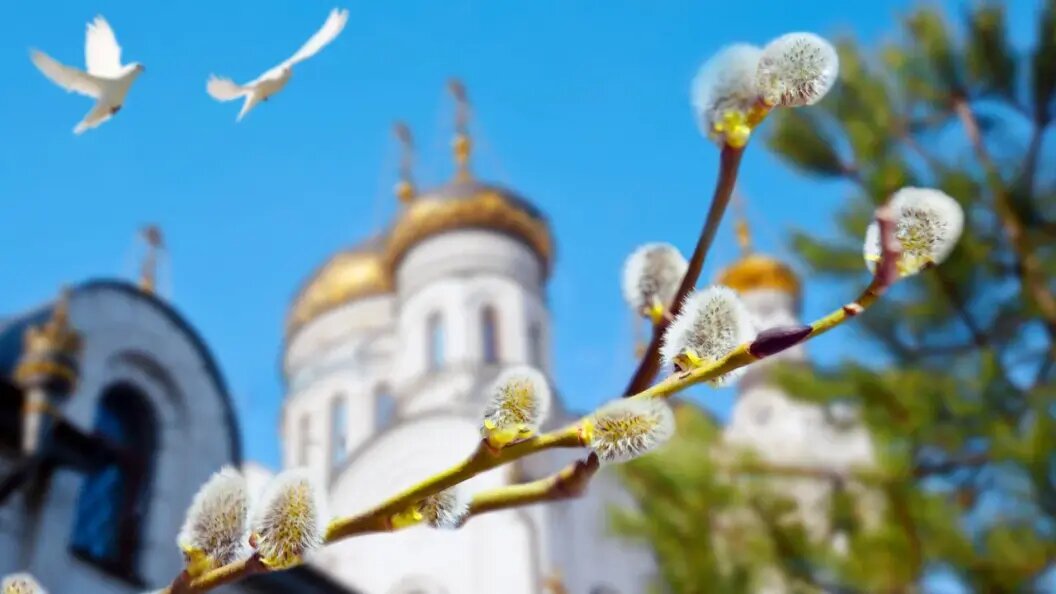    фото: Коллаж Царьграда