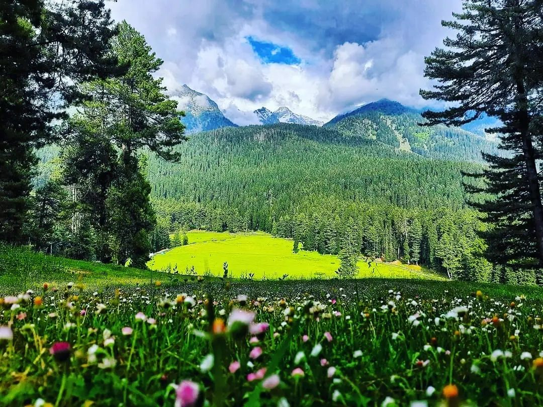 Долина Байсаран. Фото: Mihad Travels