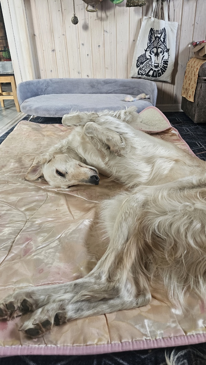 Вот так она спит...