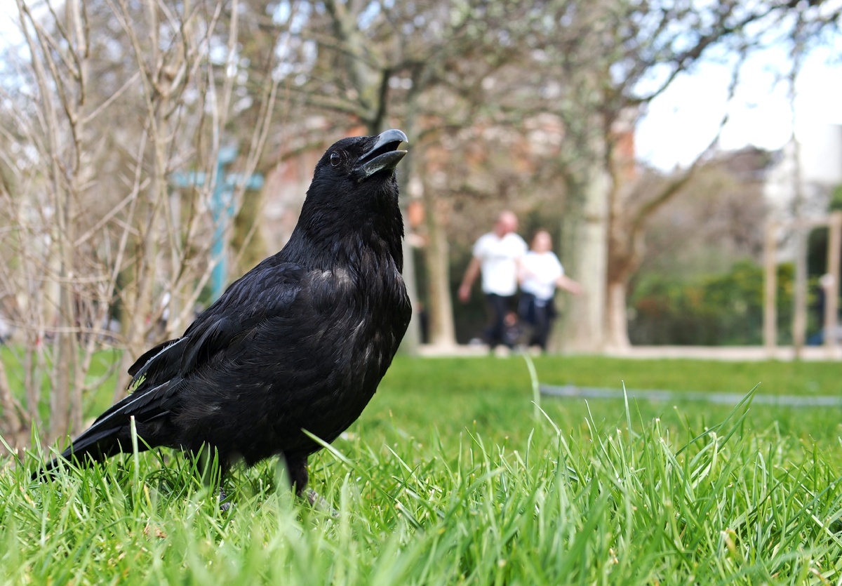 #мужскоесчастье #осознанность #жизньврадость #психологиядлямужчин