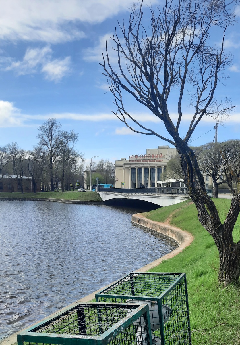 Фото автора статьи 