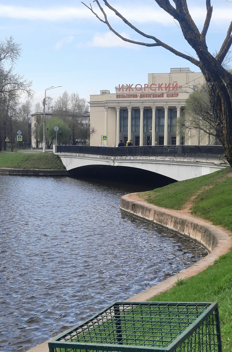 Фото автора статьи 