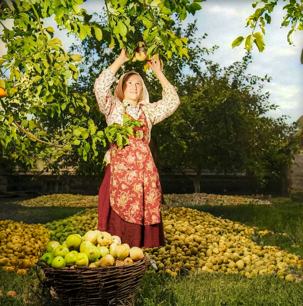 Фотограф: Евгений Халдей