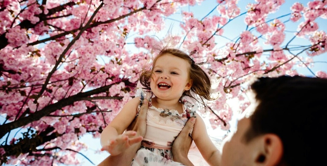 Цветение сакуры в конце апреля: обзор парков Москвы для прогулок и фото