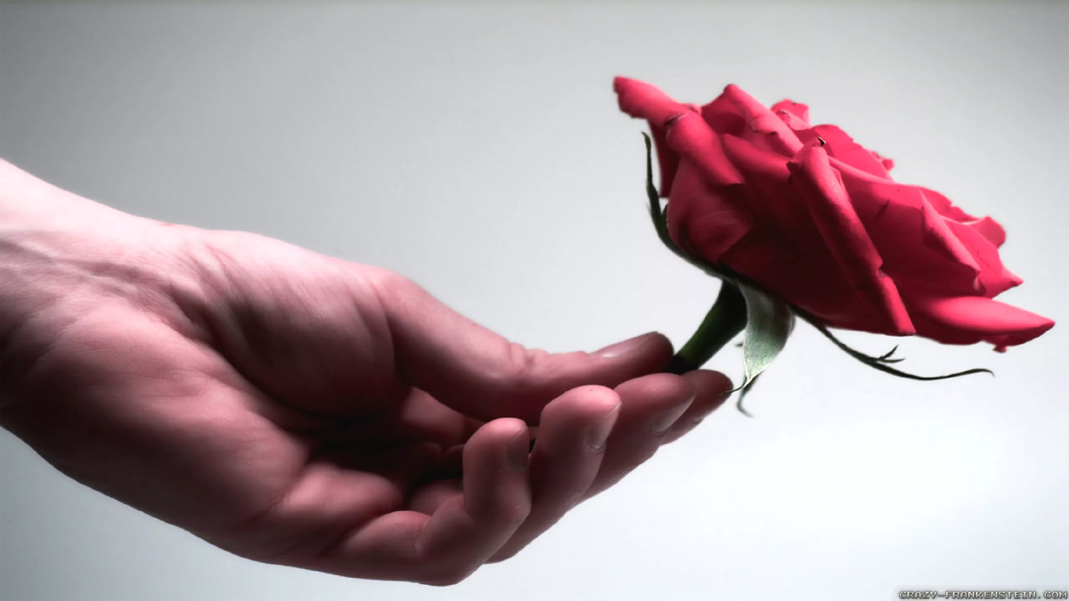 Изображение из открытых источников