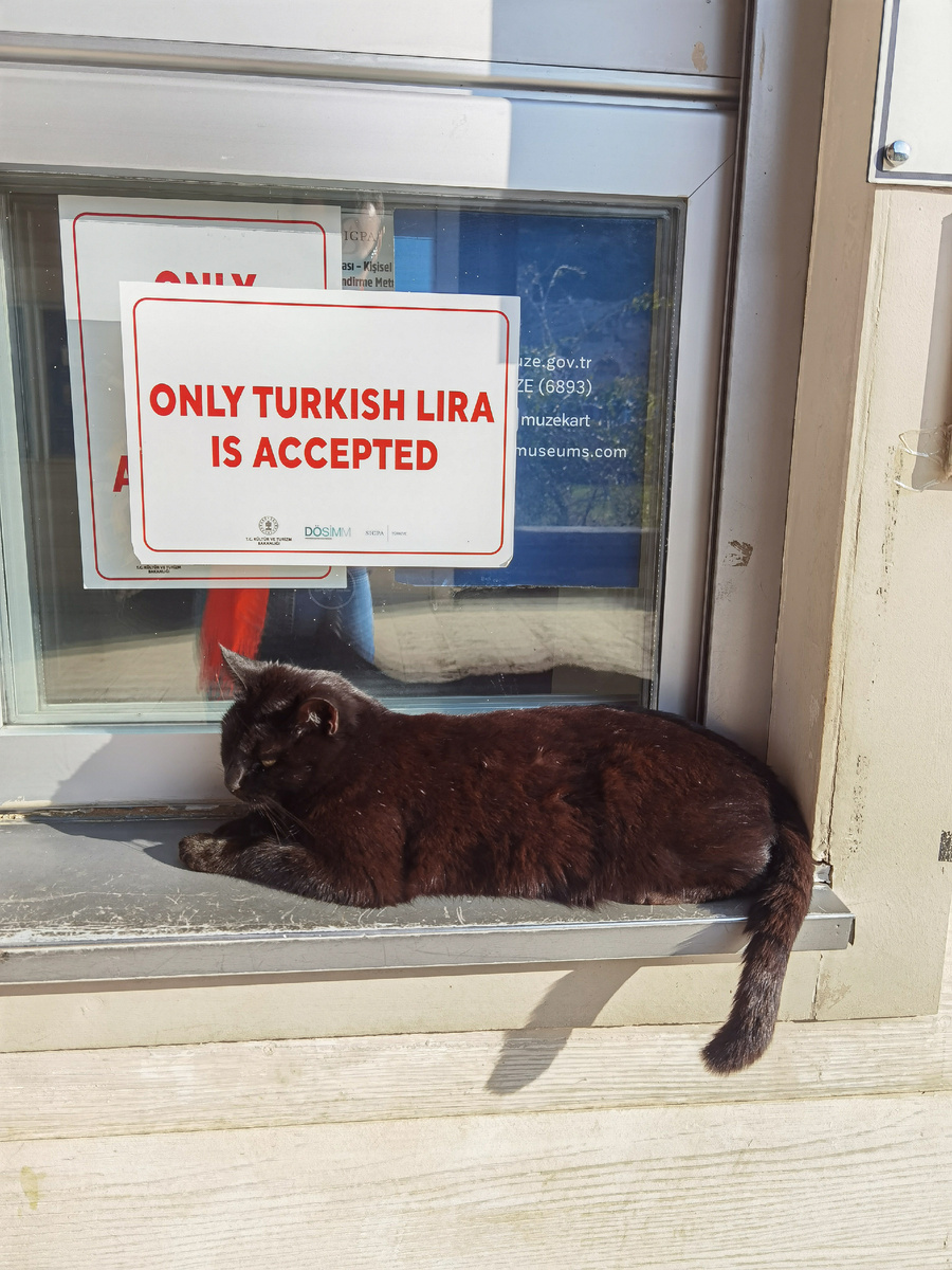 Касса и работник кассы