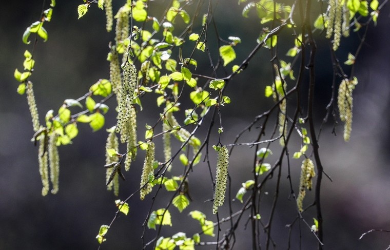    Сергей Булкин/NEWS.ru