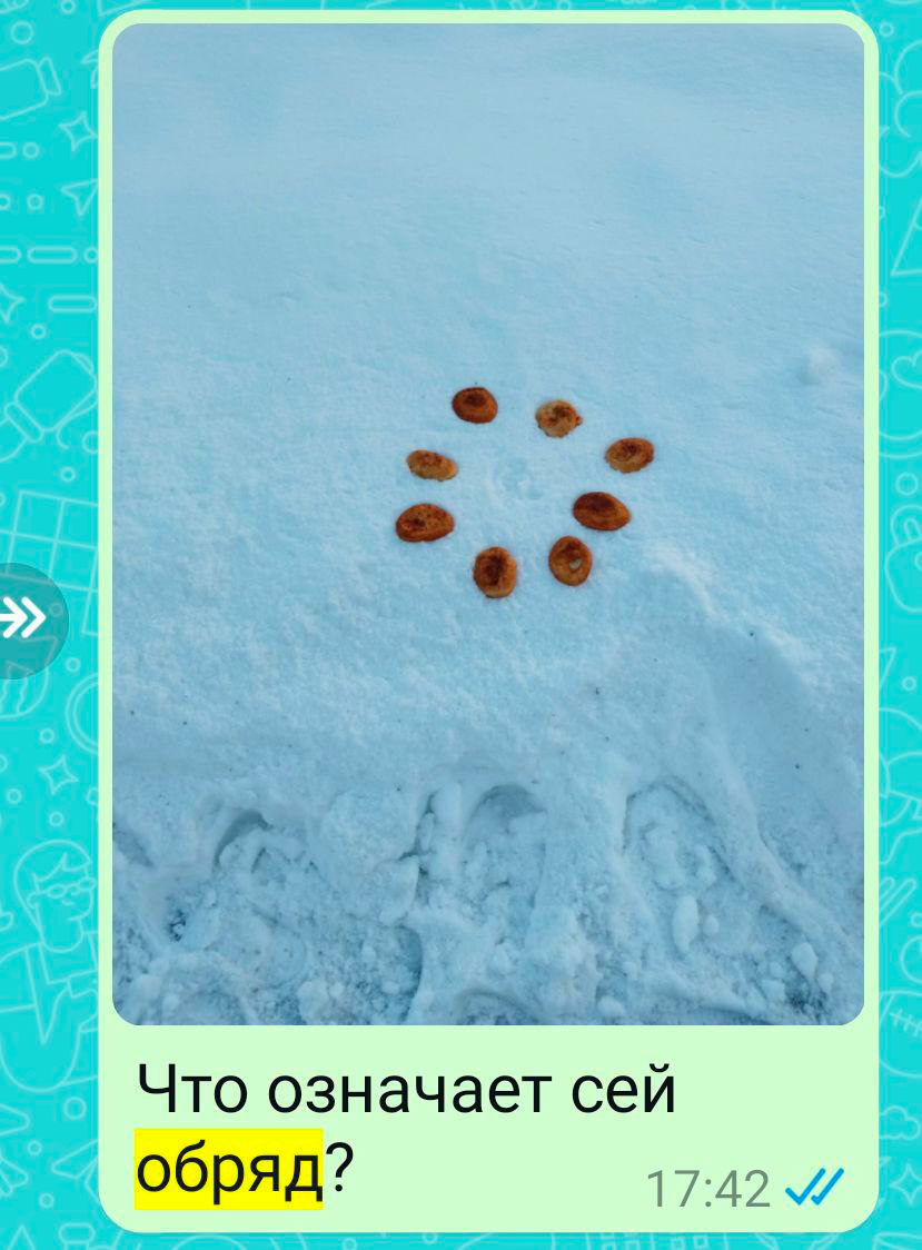 Фото из моего Телеграм-канала, прислала подписчица