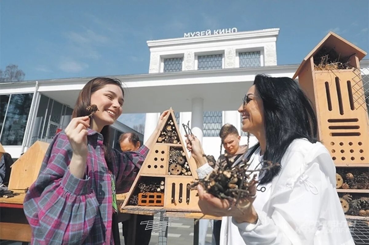    Рядом с Музеем кино установили 16 ремизов – домиков для полезных насекомых.