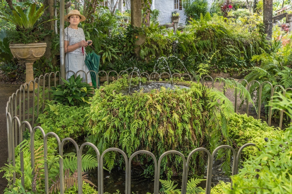 Паронелла Парк, Иннисфэйл, Квинслэнд, Австралия