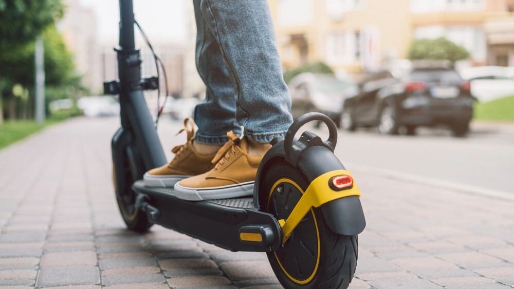    Фото: Wpadington/Shutterstock/Fotodom