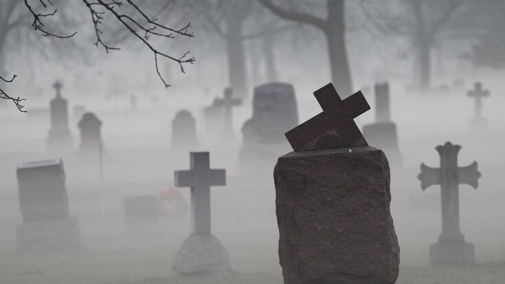 Изображение взято из открытых источников интернета. 