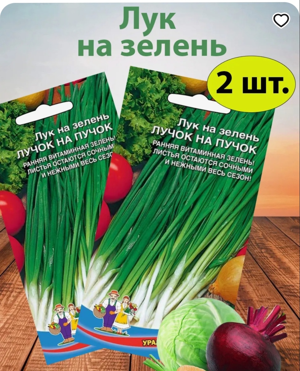 Что-то вроде этого... Здесь и зелень растёт и даже маленькая луковица выростает.