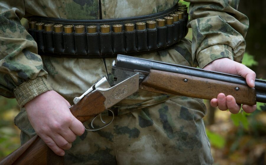     / Источник: © Николай Гынгазов/ТАСС