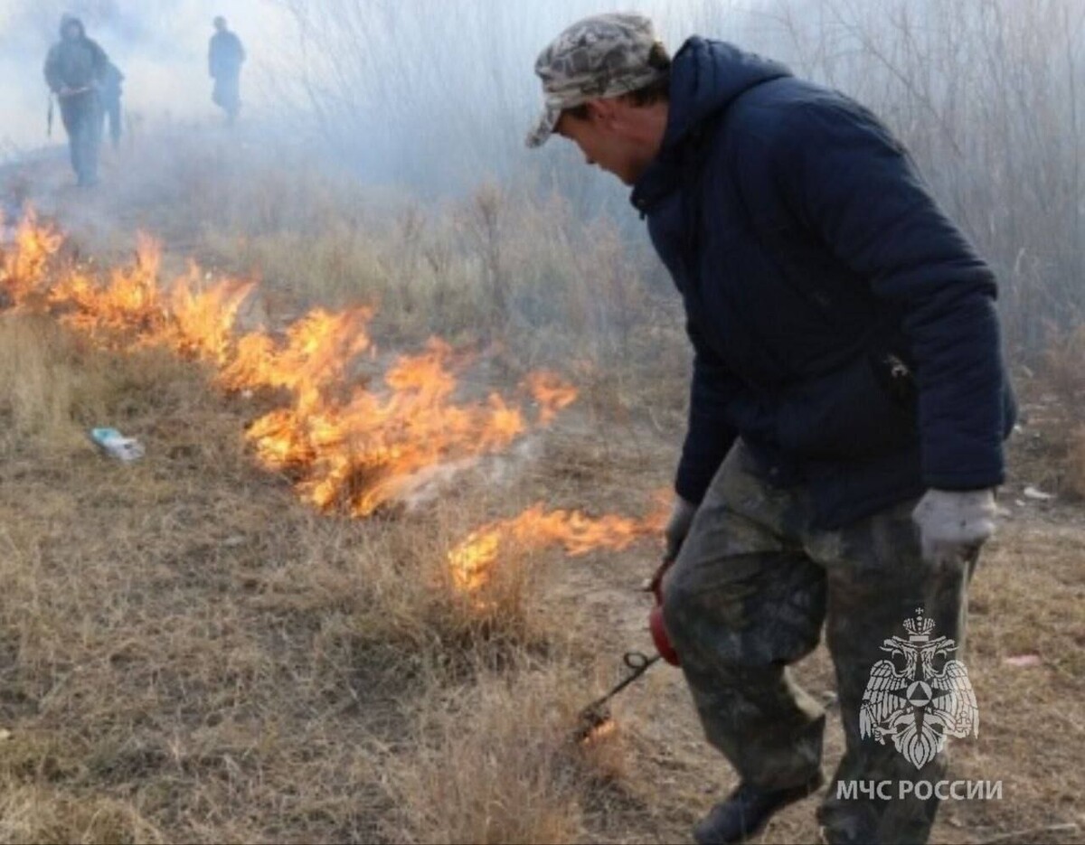    Фото: Пресс-служба ГУ МЧС России по Забайкальскому краю