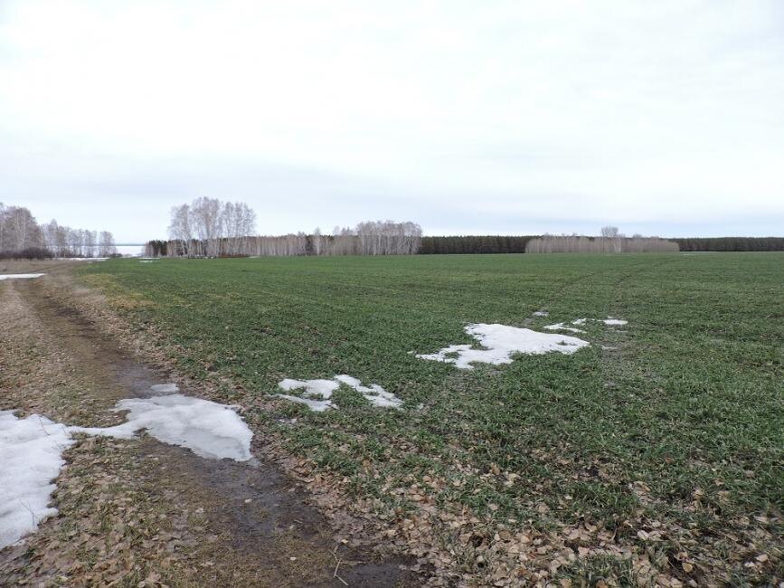    Фотография из архива редакции