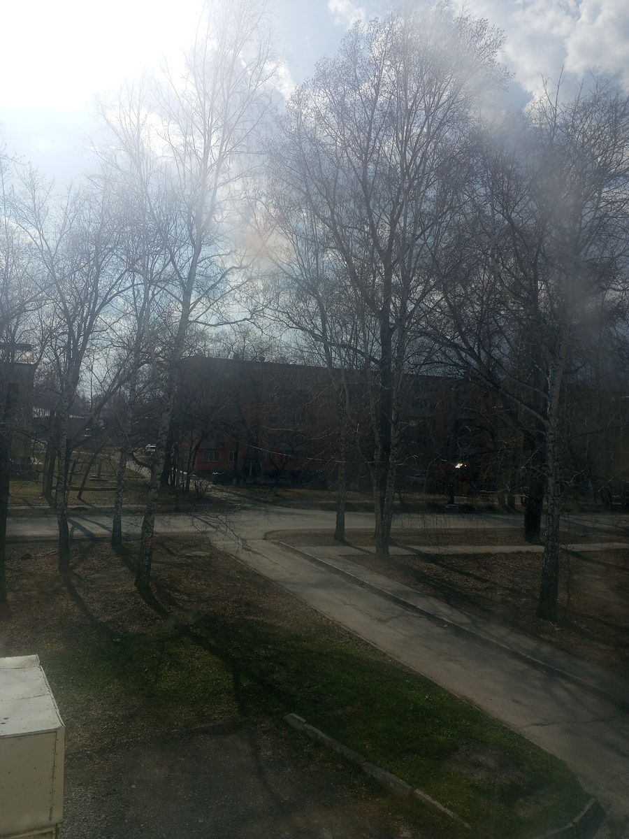 А у нас снег окончательно растаял и клещи выползли . 