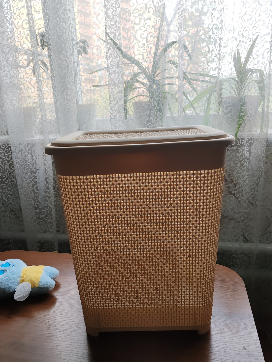 Фото сделано против света, поэтому цвет немного не тот