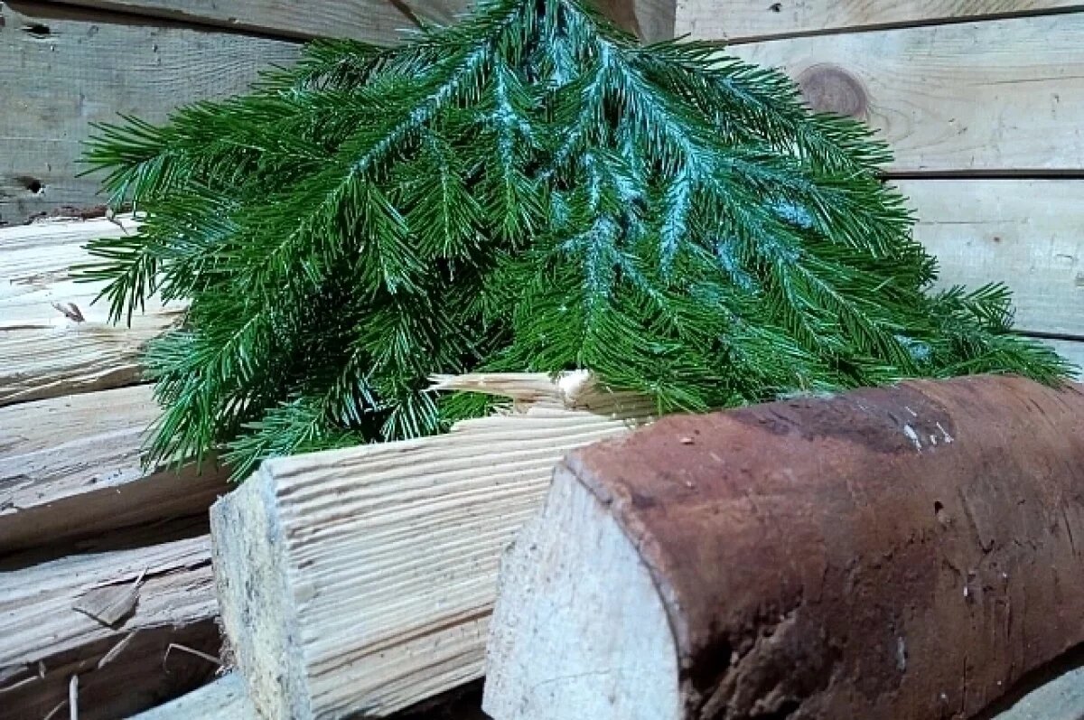    Кузбассовцам рассказали, какие постройки теперь сразу нужно регистрировать