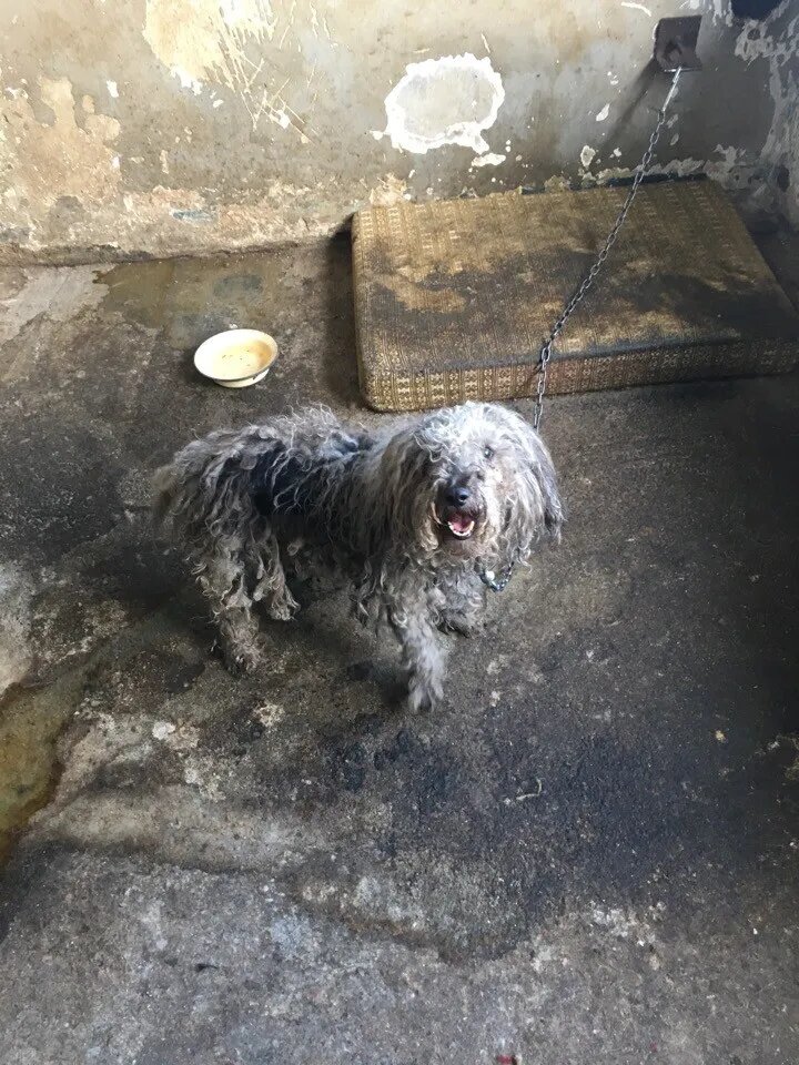 В таком виде она там сидела...