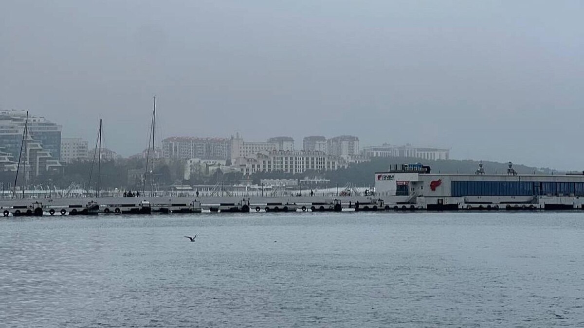    Фото: телеканал «Краснодар»