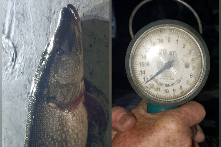    Фото «Знамя труда», коллаж VN.ru