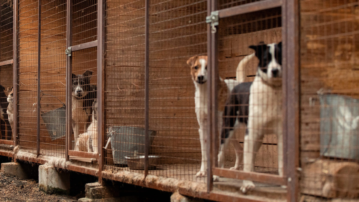    Фото из архива проекта