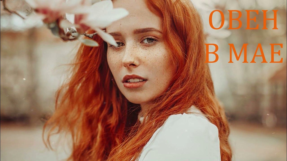 Знак Зодиака Овен. Фото в свободном доступе.