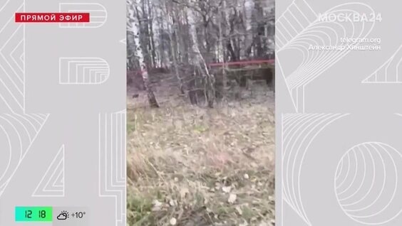    В Курской области обнаружили украинский беспилотник весом 200 килограммов