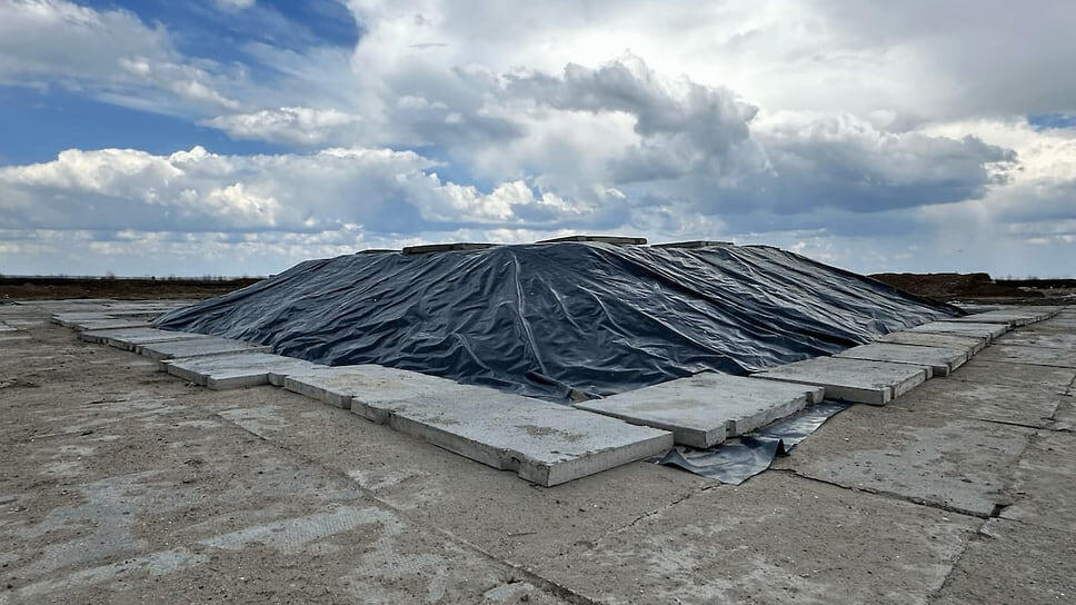 Фото: пресс-служба правительства Ростовской области