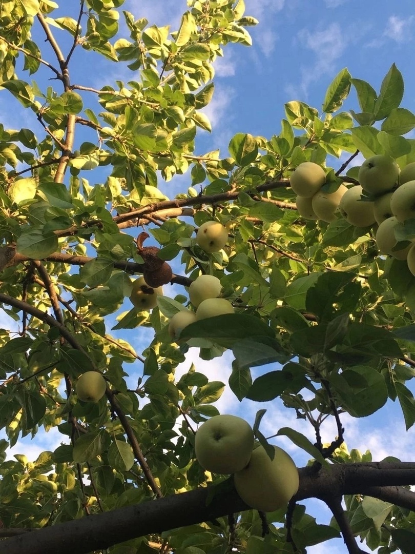    Фото из архива Progorod